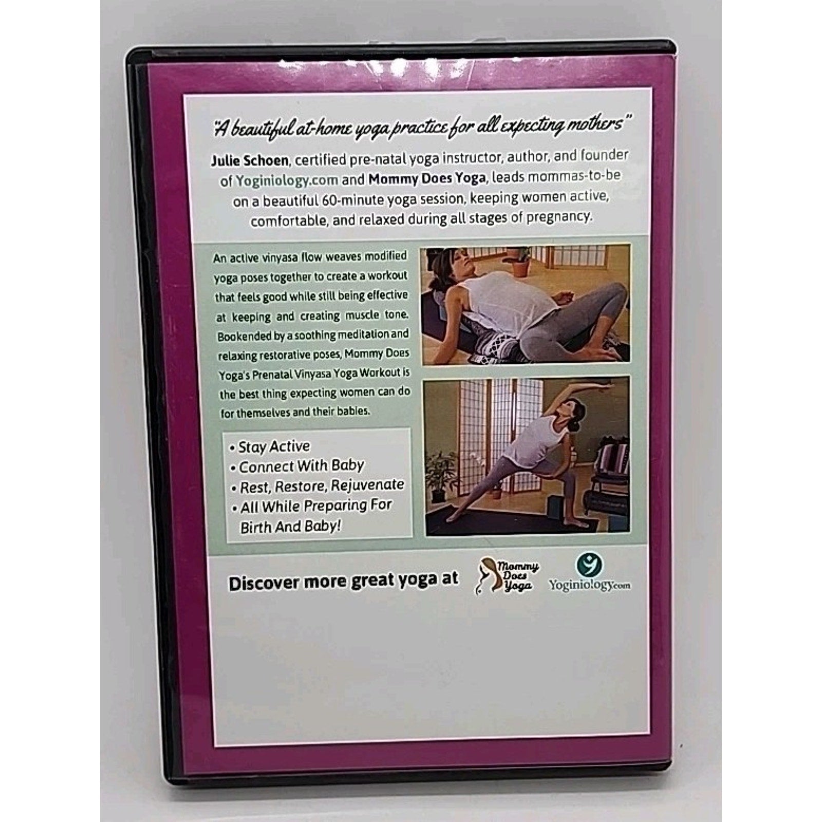 Julie Schoen Prenatal Vinyasa Yoga Workout - 60 Minutes For All Trimesters, DVD