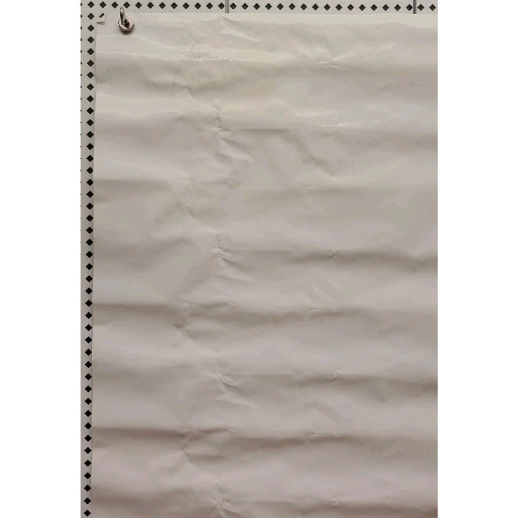 1995 Roommates Movie Poster 27x40