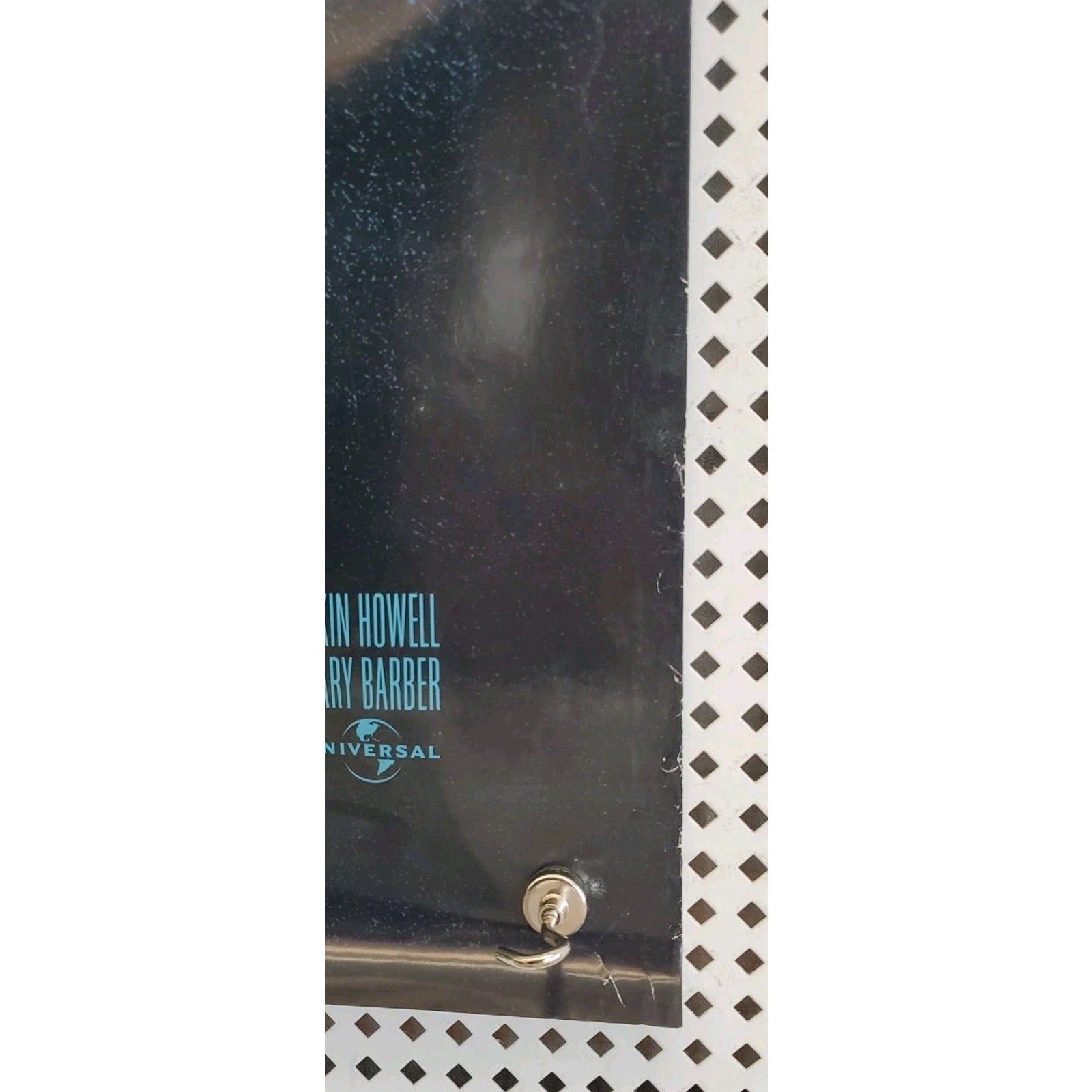 Dragonfly Original Theatrical DS Movie Poster Rolled Kevin Costner 27x40
