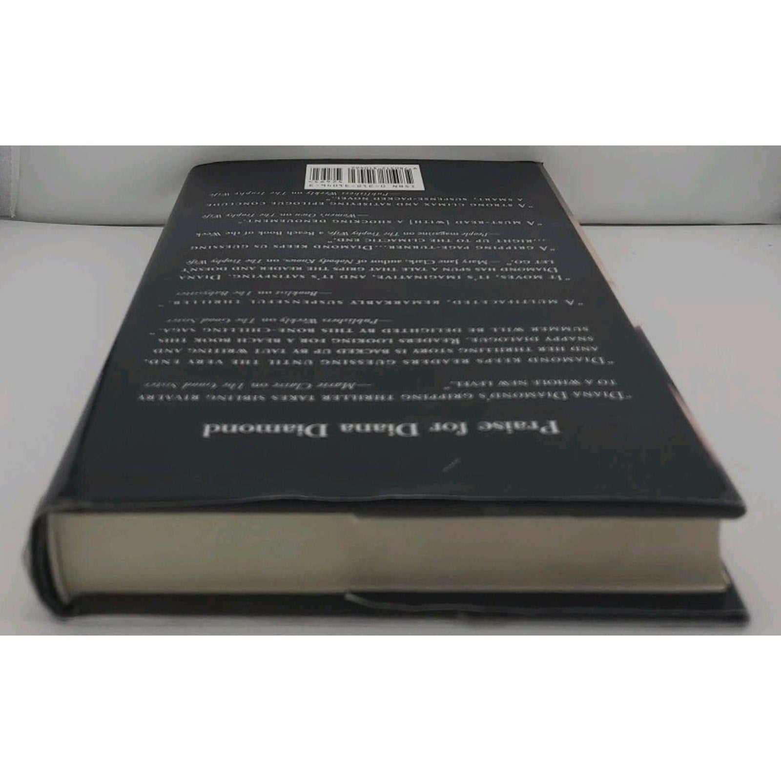 Daughter-in-Law by Diana Diamond (2003, Hardcover)