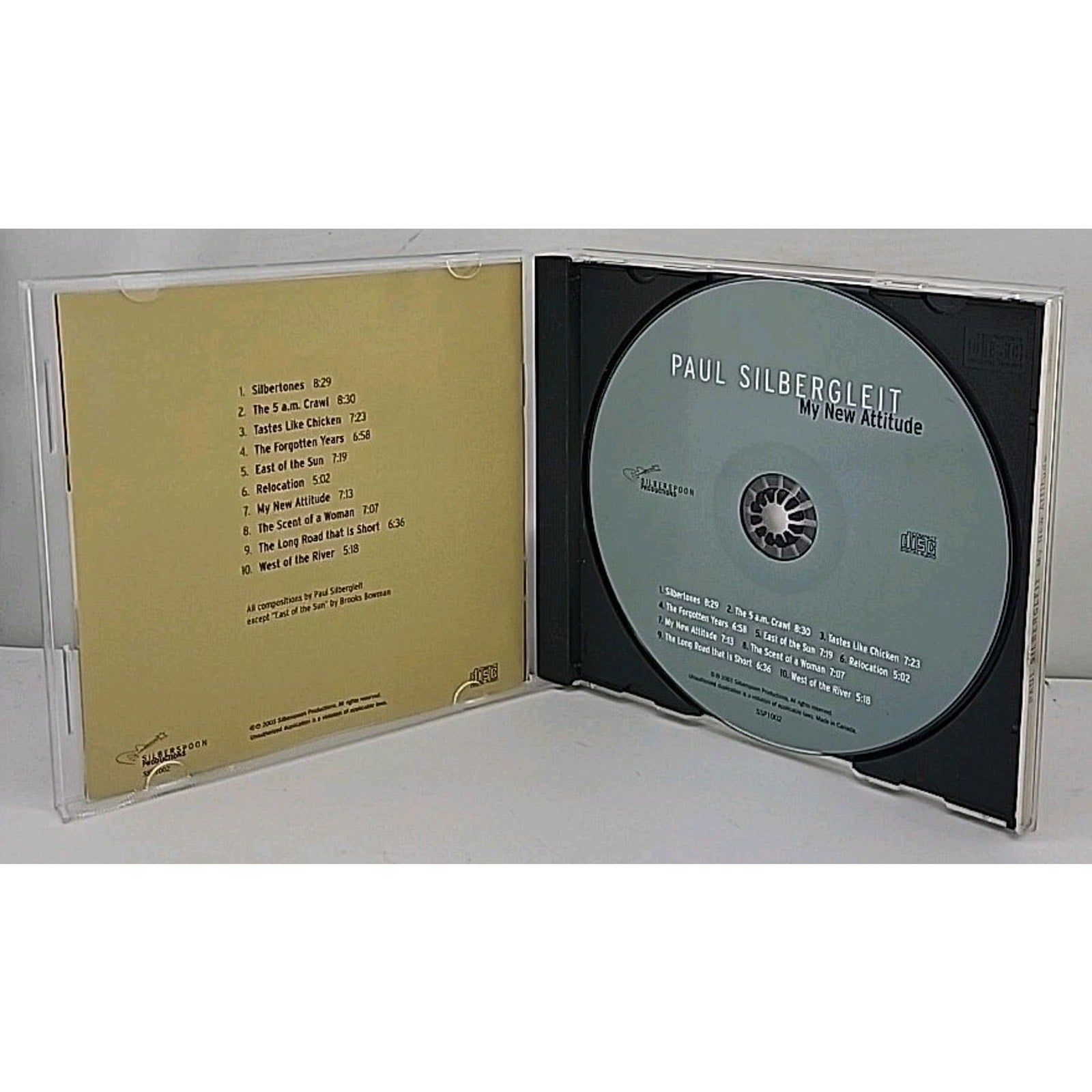 My New Attitude by Paul Silbergleit (CD, 2004)