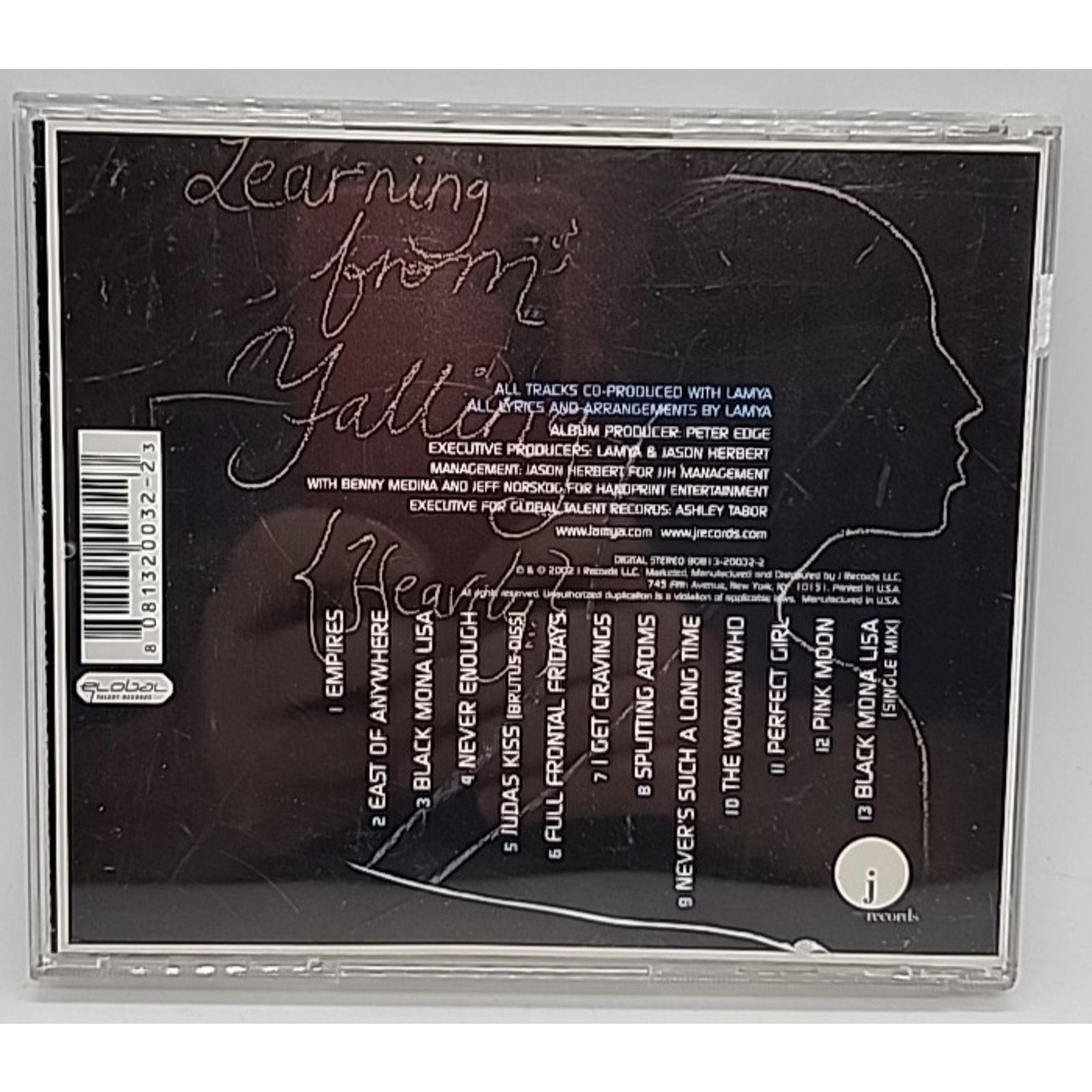 Learning from Falling by Lamya (CD, 2002)