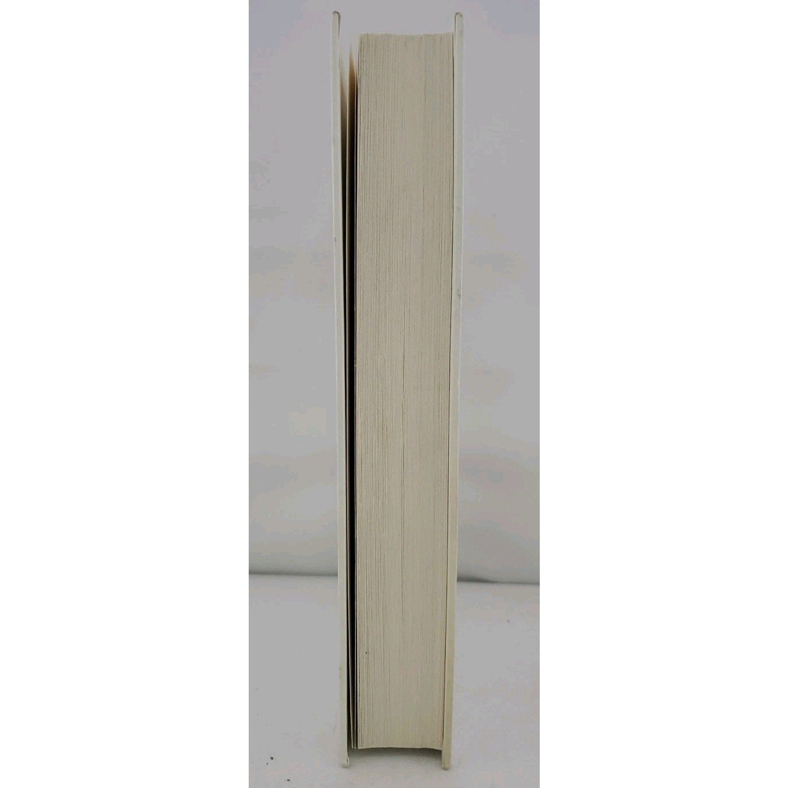 Swan Song by Elin Hilderbrand (2024, Hardcover)