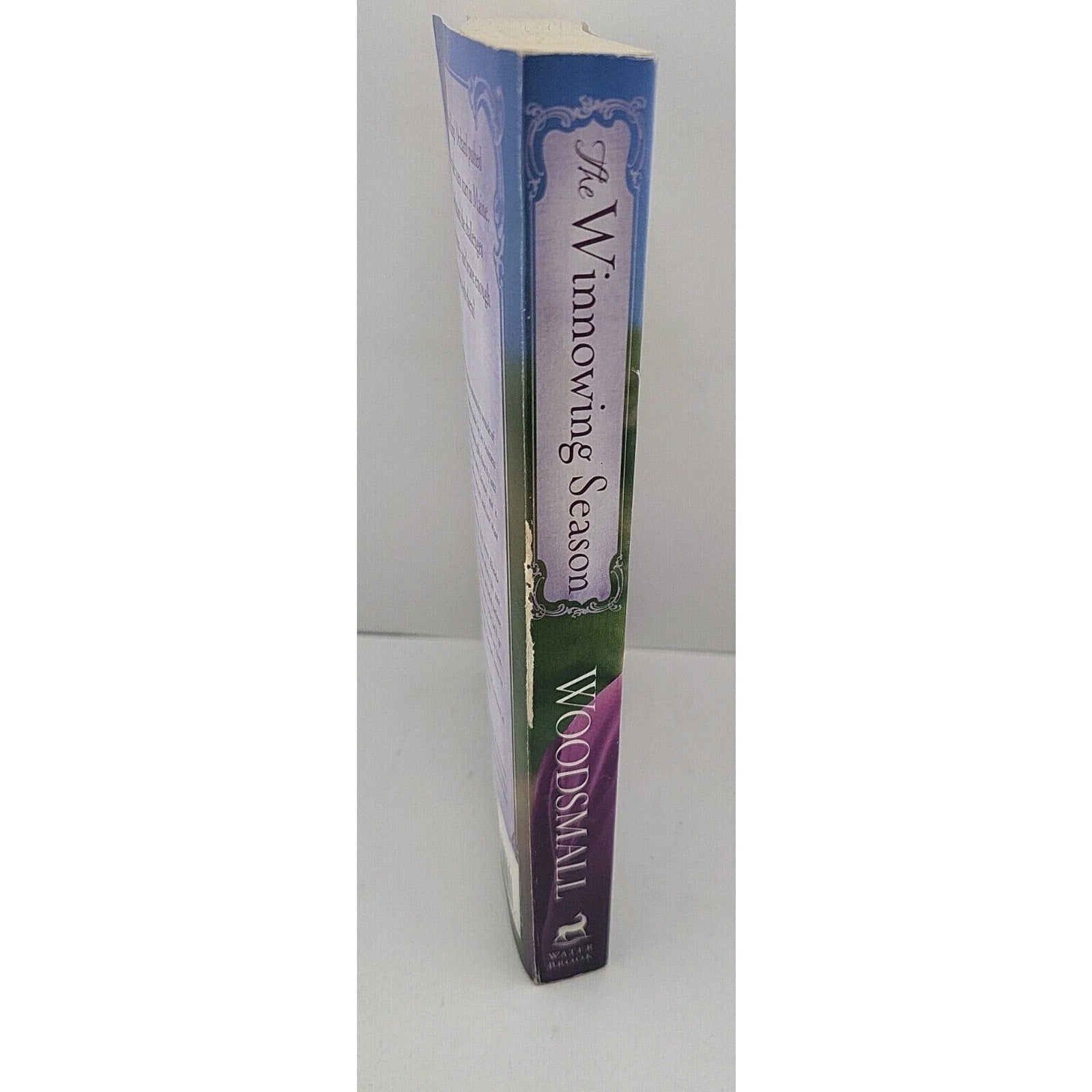 Winnowing Season : Book Two in the Amish Vines and Orchards Series by Cindy...