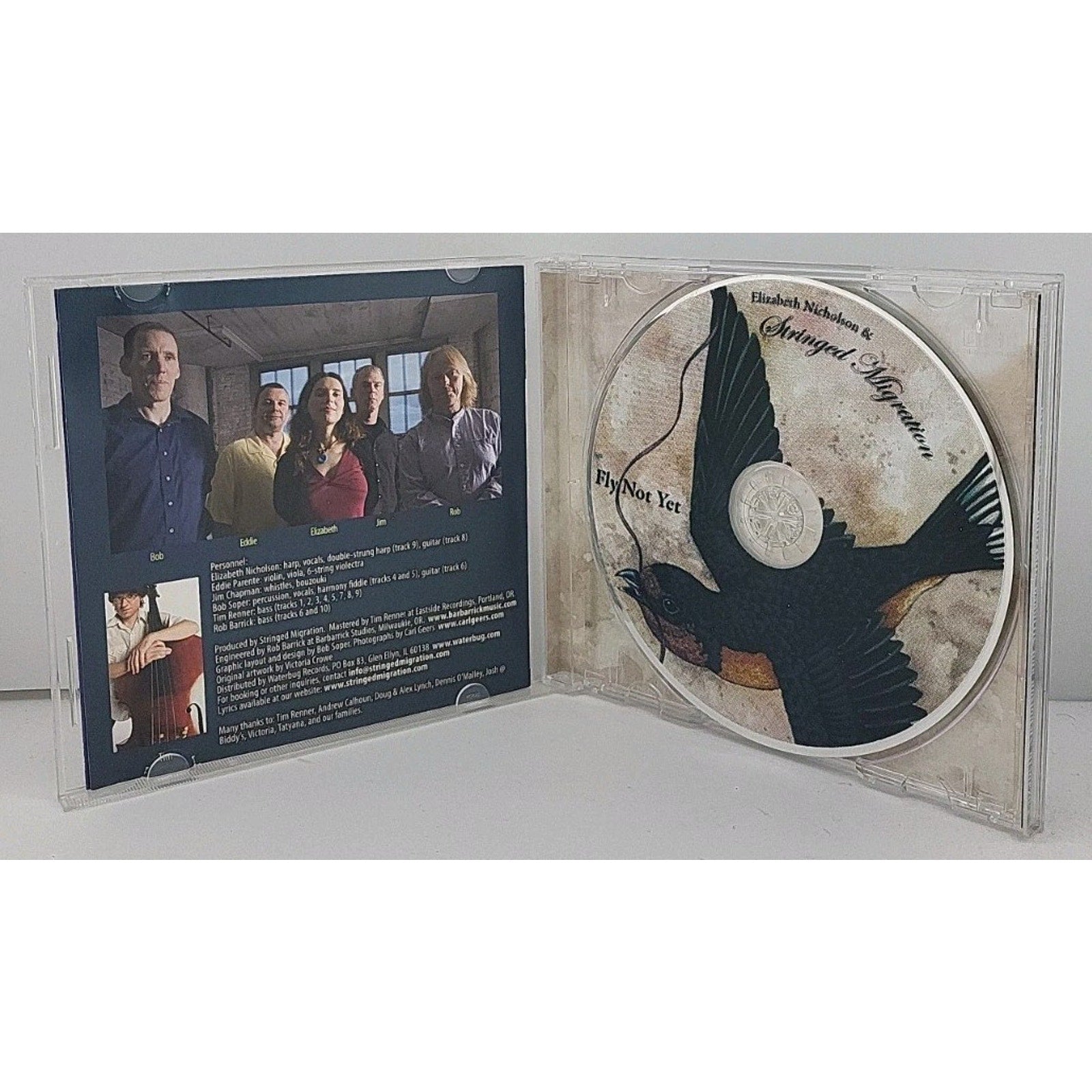 Fly Not Yet by Elizabeth Nicholson (CD, 2008)