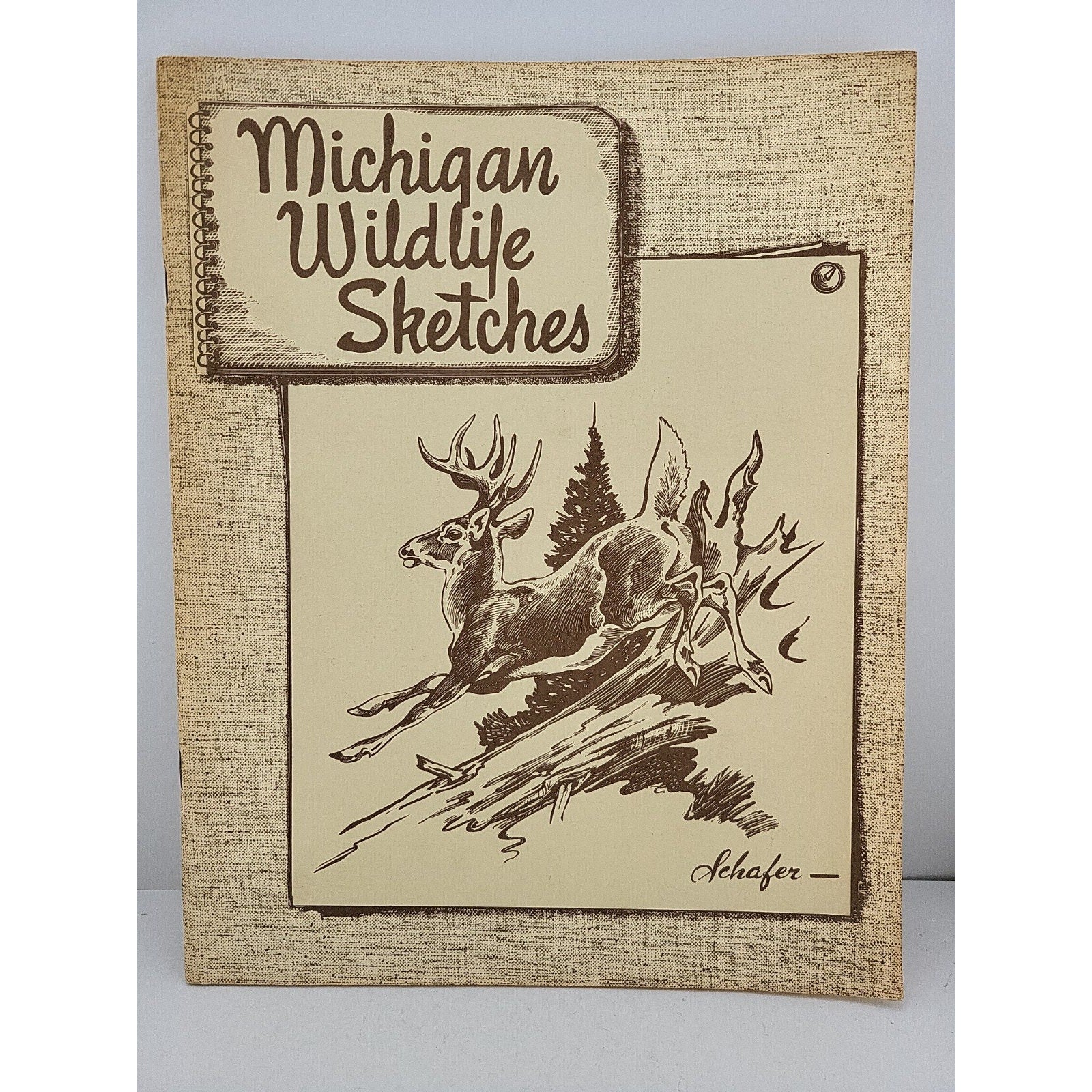 Michigan Wildlife Sketches Native Mammal Michigan Forest Field Chuck Schafer Art