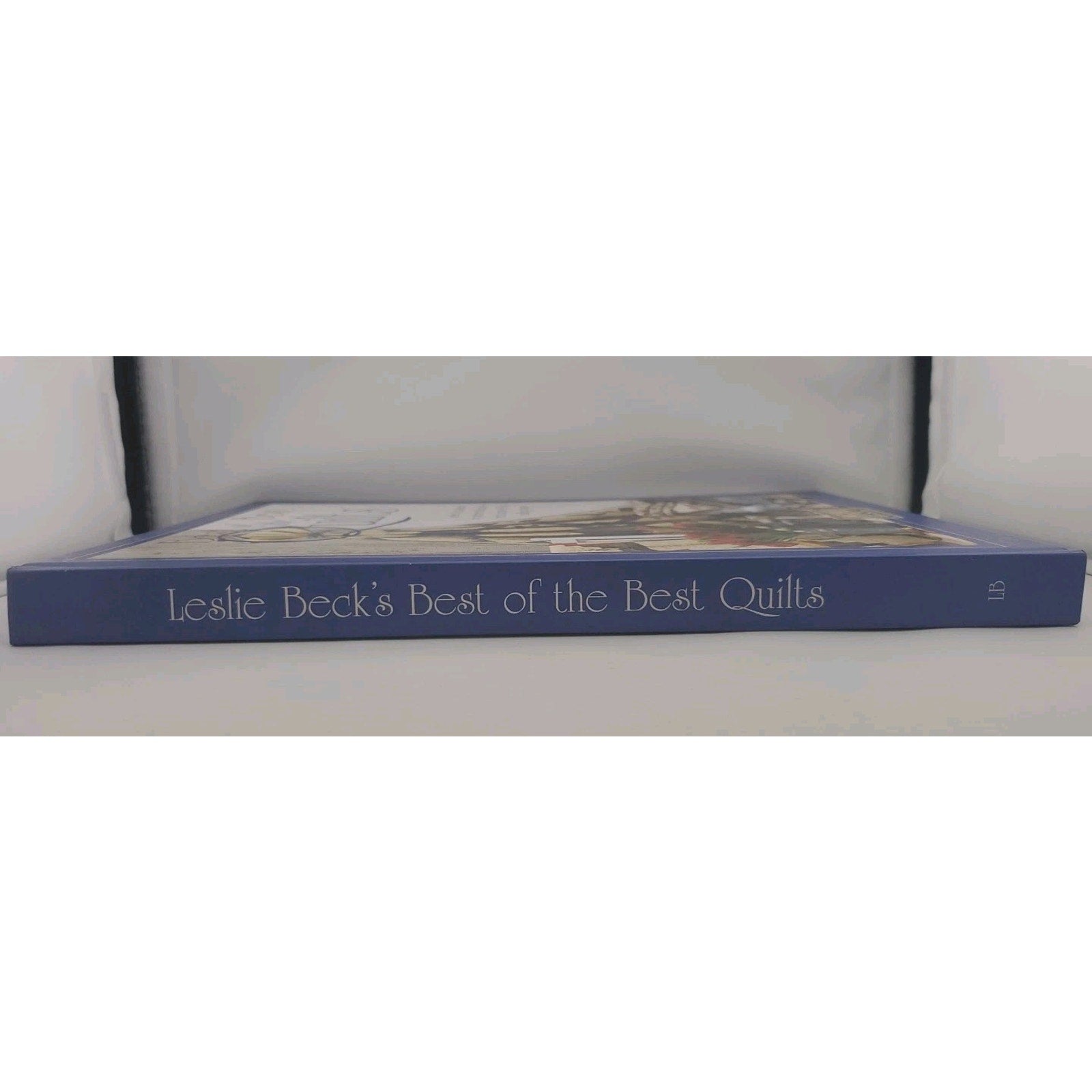 Leslie Beck's Best of the Best Quilts by Leslie Beck (2002, Hardcover)