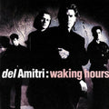 Waking Hours by Del Amitri (CD, 1990)