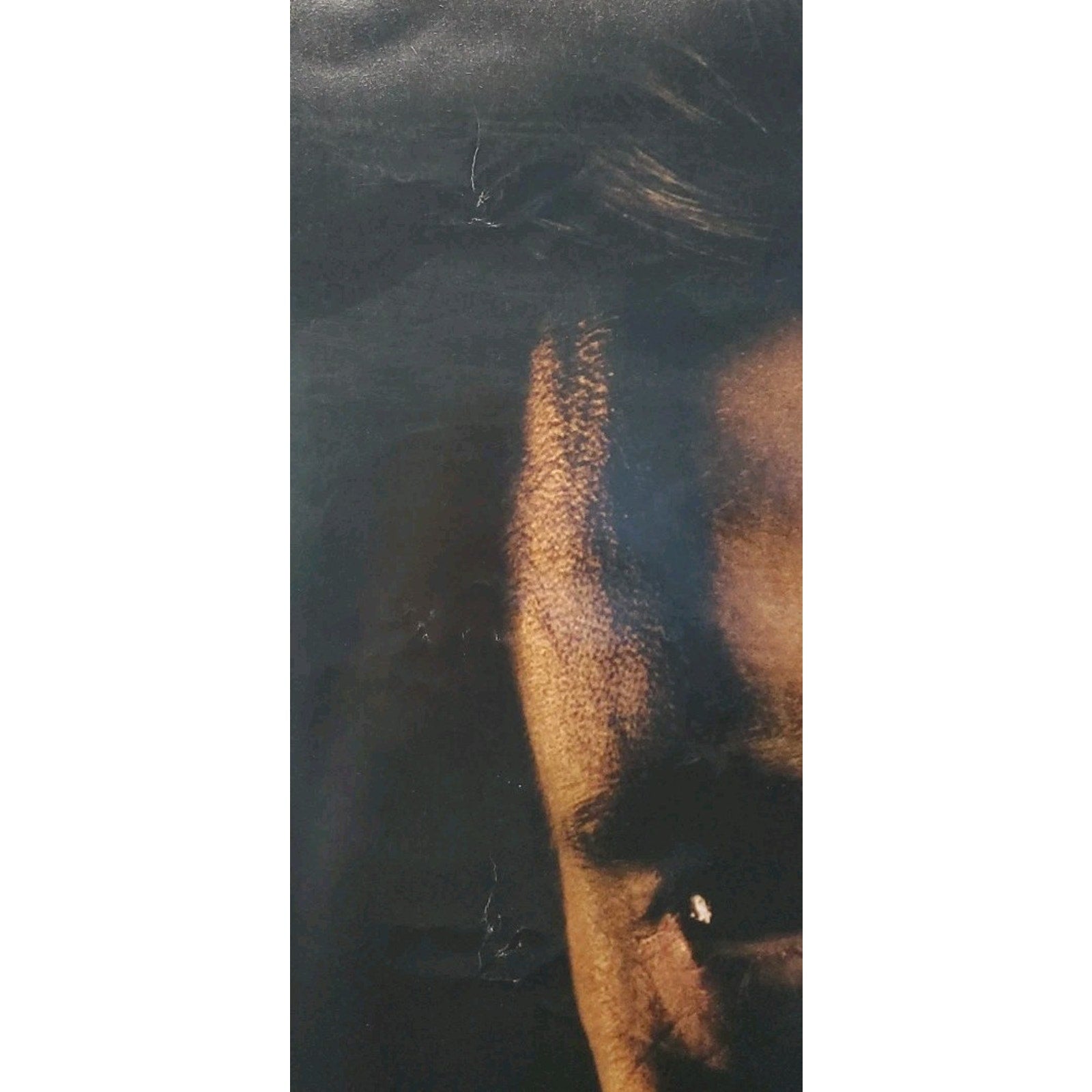 Deception Hugh Jackman Michelle Williams Original 2008 Movie Theater Poster 40"