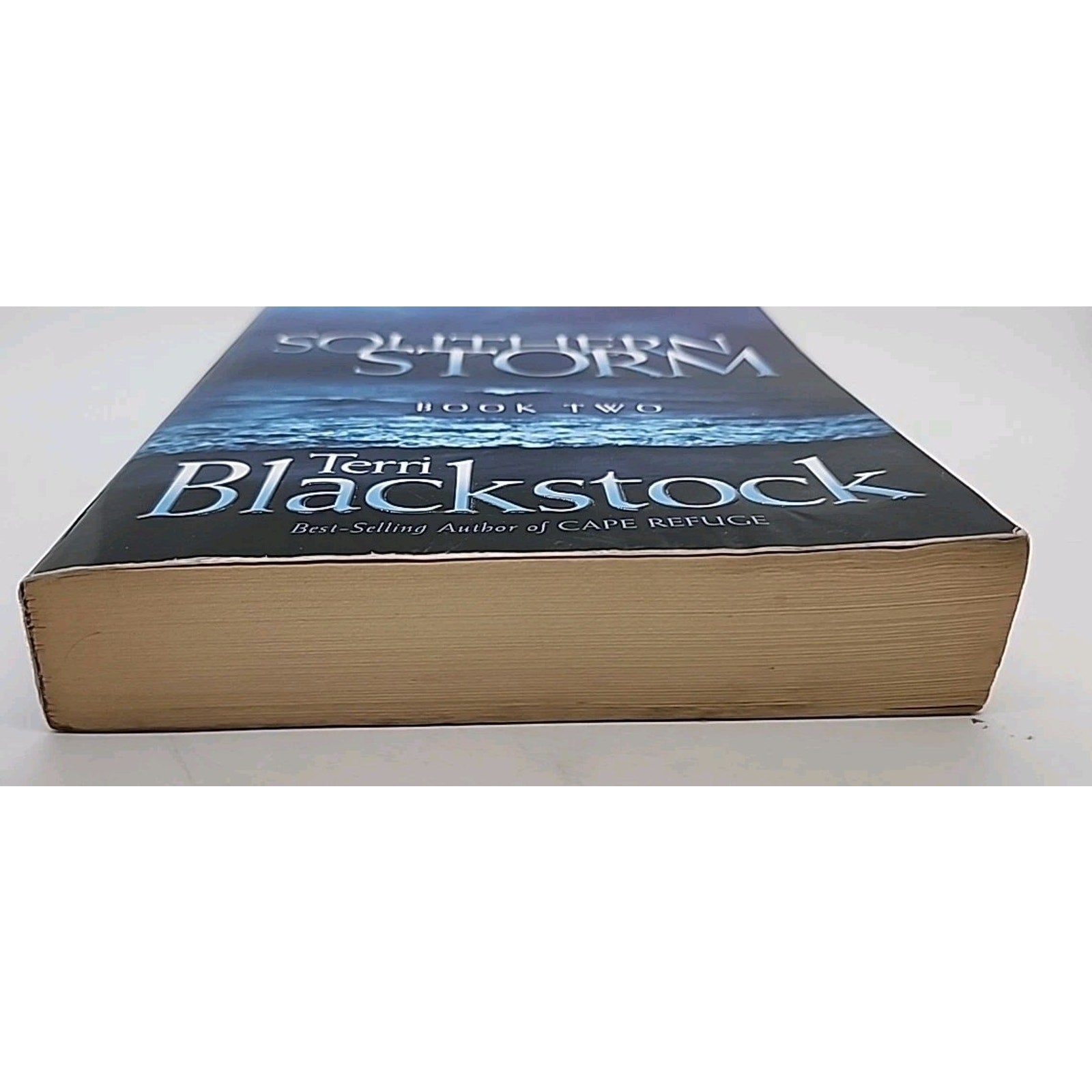 Southern Storm by Terri Blackstock (2003, Trade Paperback)