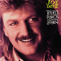Third Rock from the Sun by Joe Diffie (CD, 1994)
