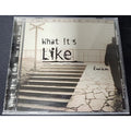 What It's Like, by Envision, CD Maxi-Single, 1999(Not Original; Everlast) (W)