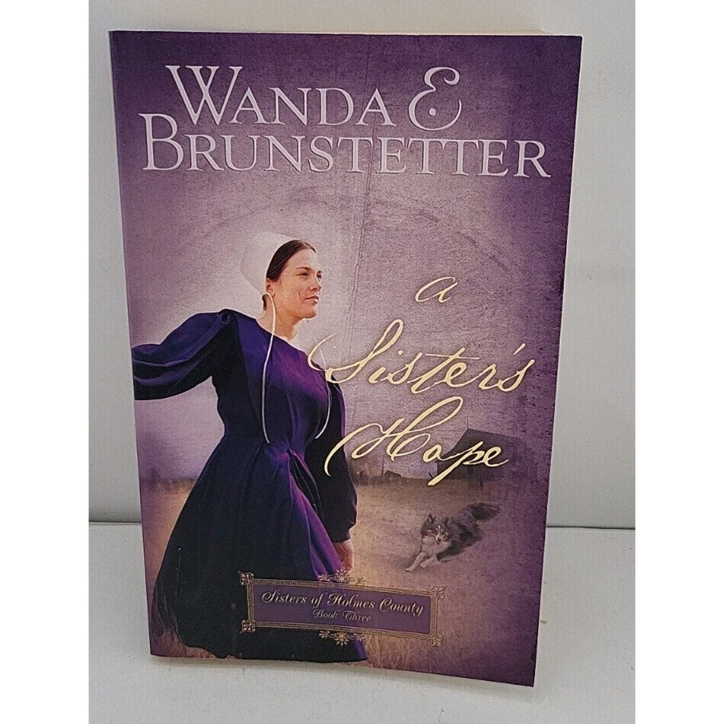 Sister's Hope by Wanda E. Brunstetter (2008, Trade Paperback)