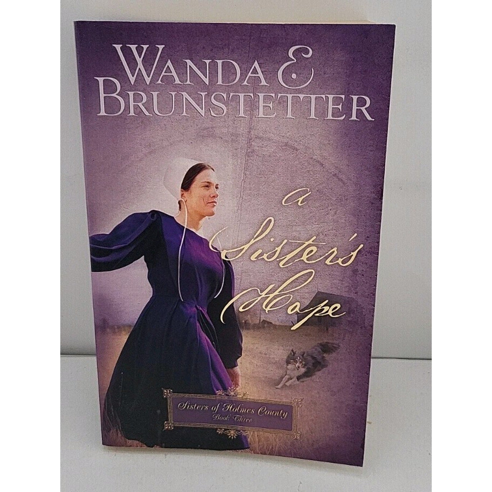 Sister's Hope by Wanda E. Brunstetter (2008, Trade Paperback)