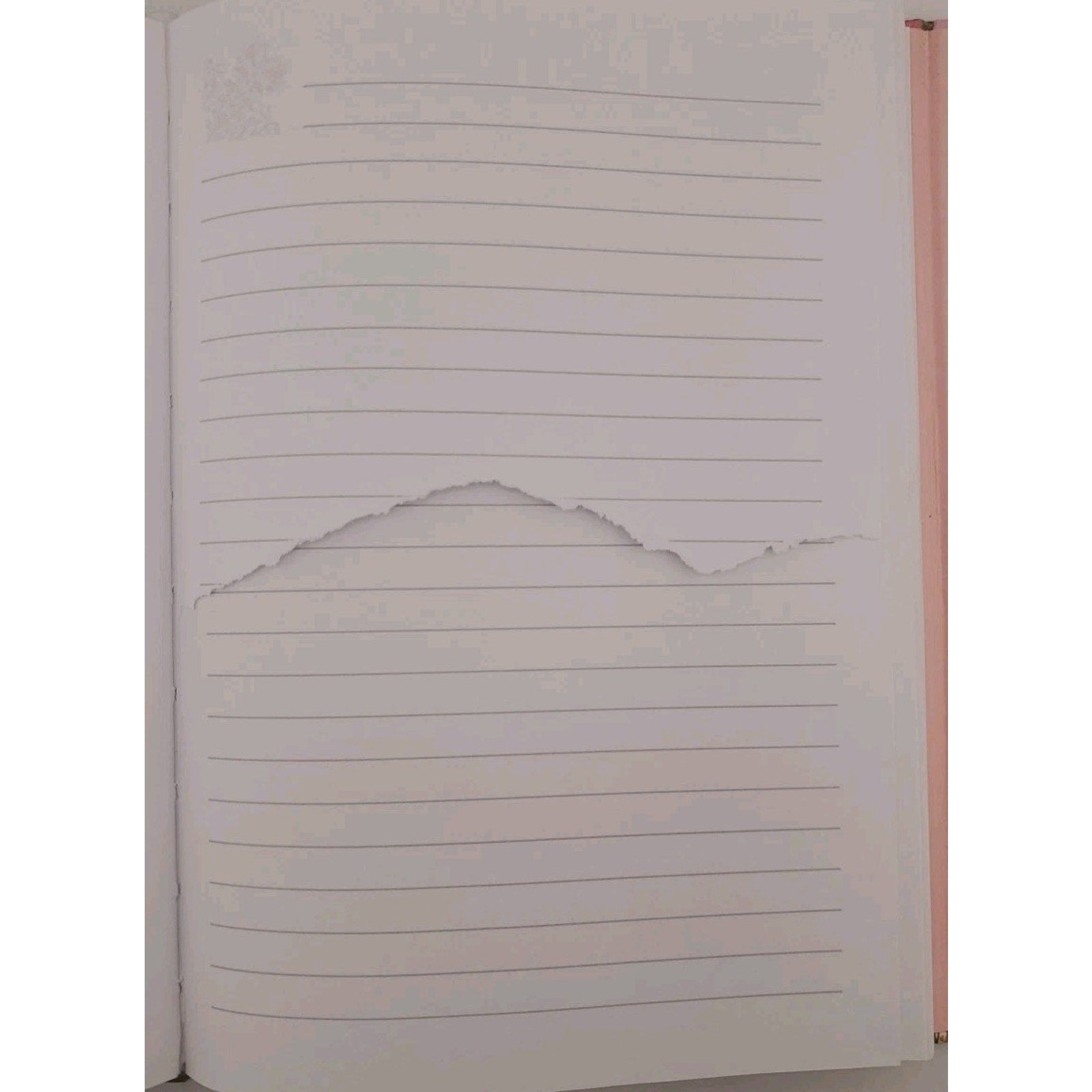 Take Delight in the and He Will Give You the Desi Lord Psalm 37:4 Flower Journal
