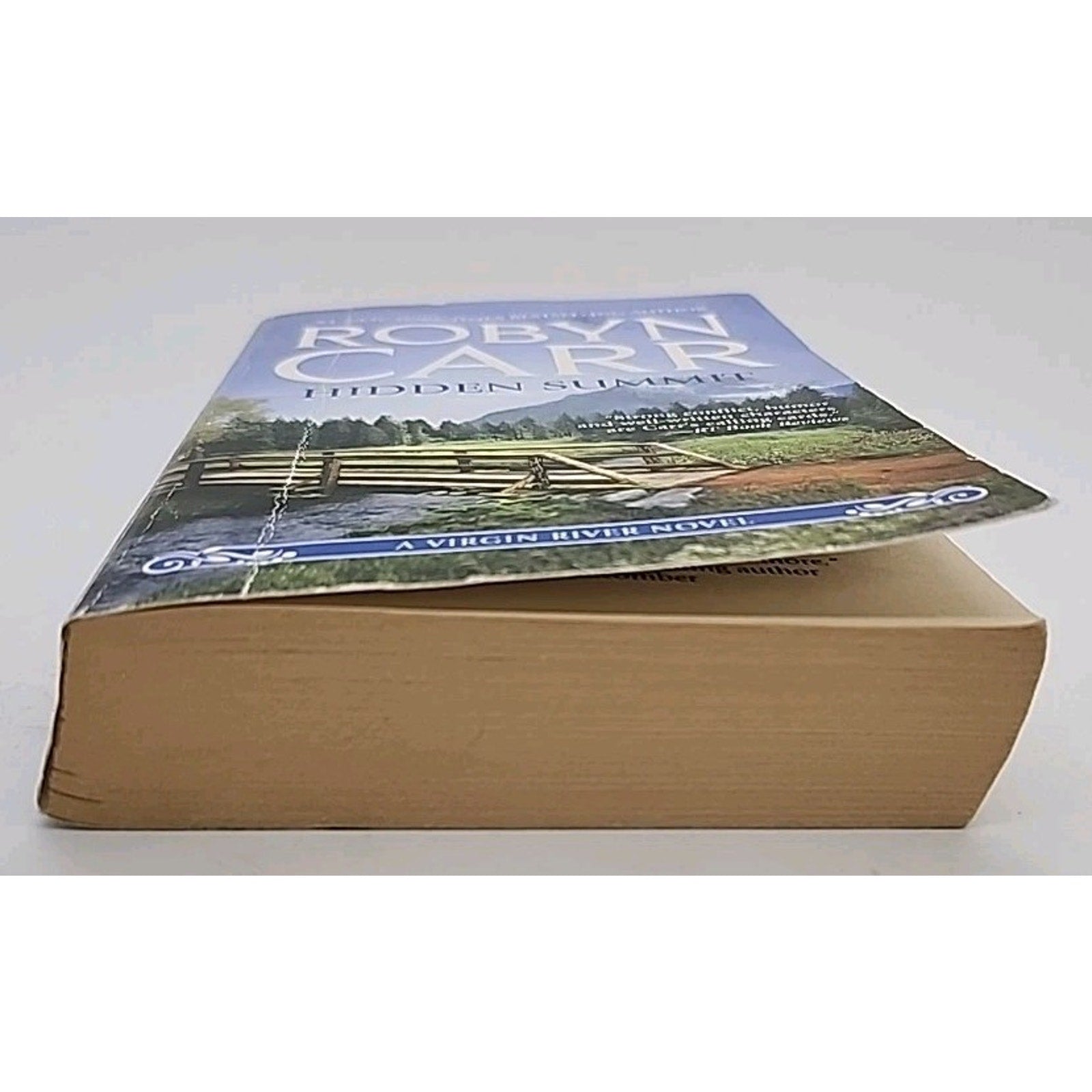 Hidden Summit by Robyn Carr (2011, Mass Market)