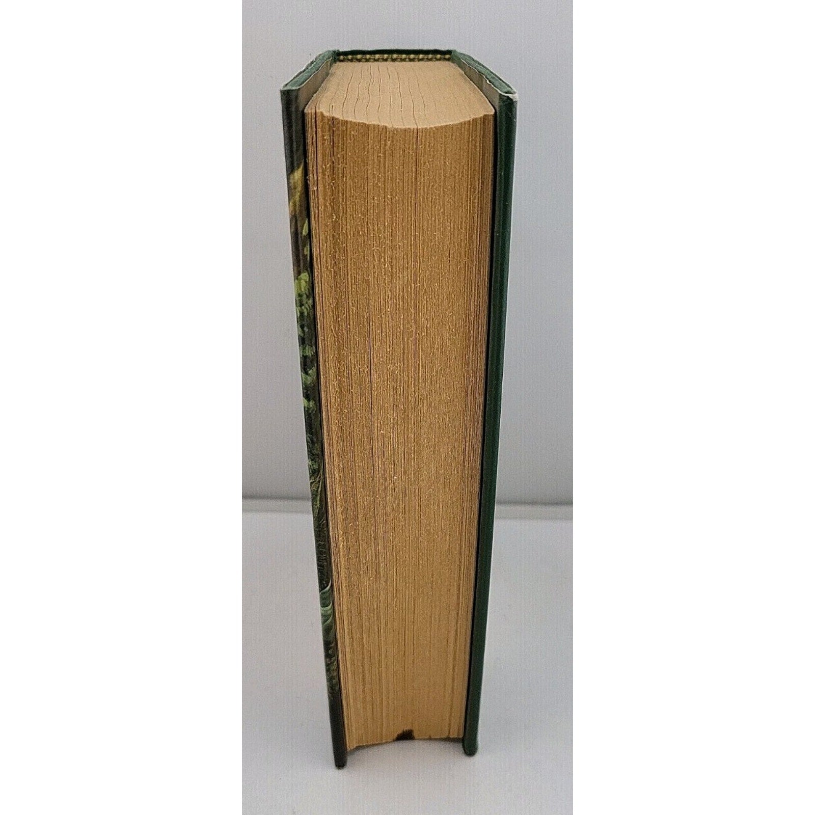 Clan of the Cave Bear by Jean M. Auel (1998, Hardcover)