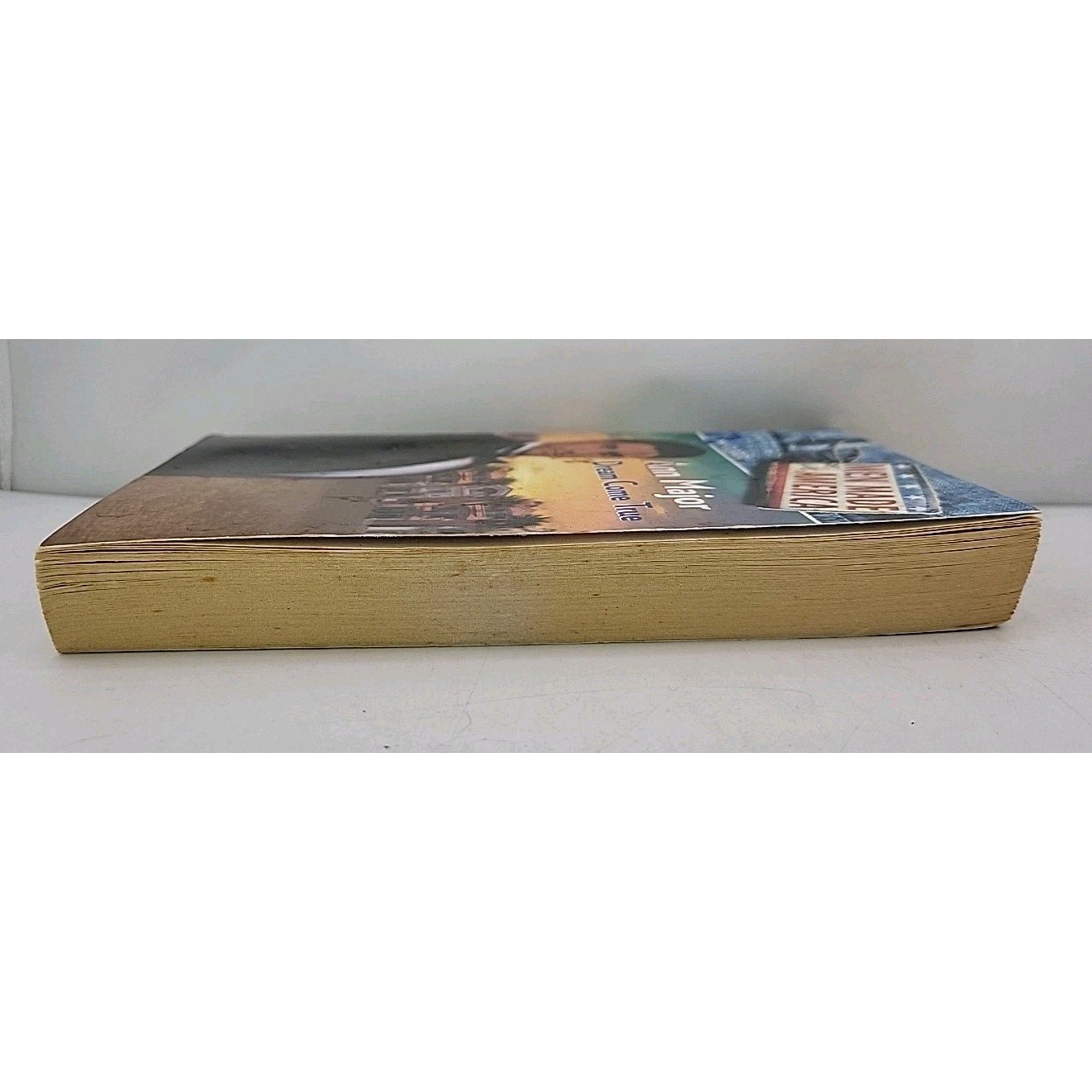 Dream Come True (Men Made in America: Florida) by Ann Major
