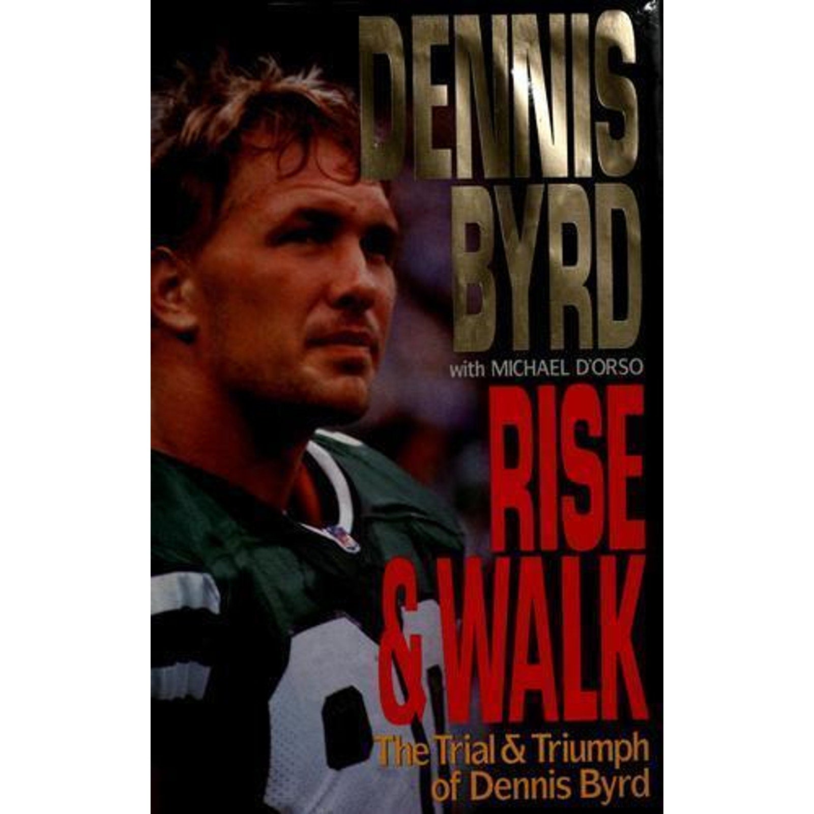 Rise and Walk : The Trial and Triumph of Dennis Byrd by Michael D'Orso and...