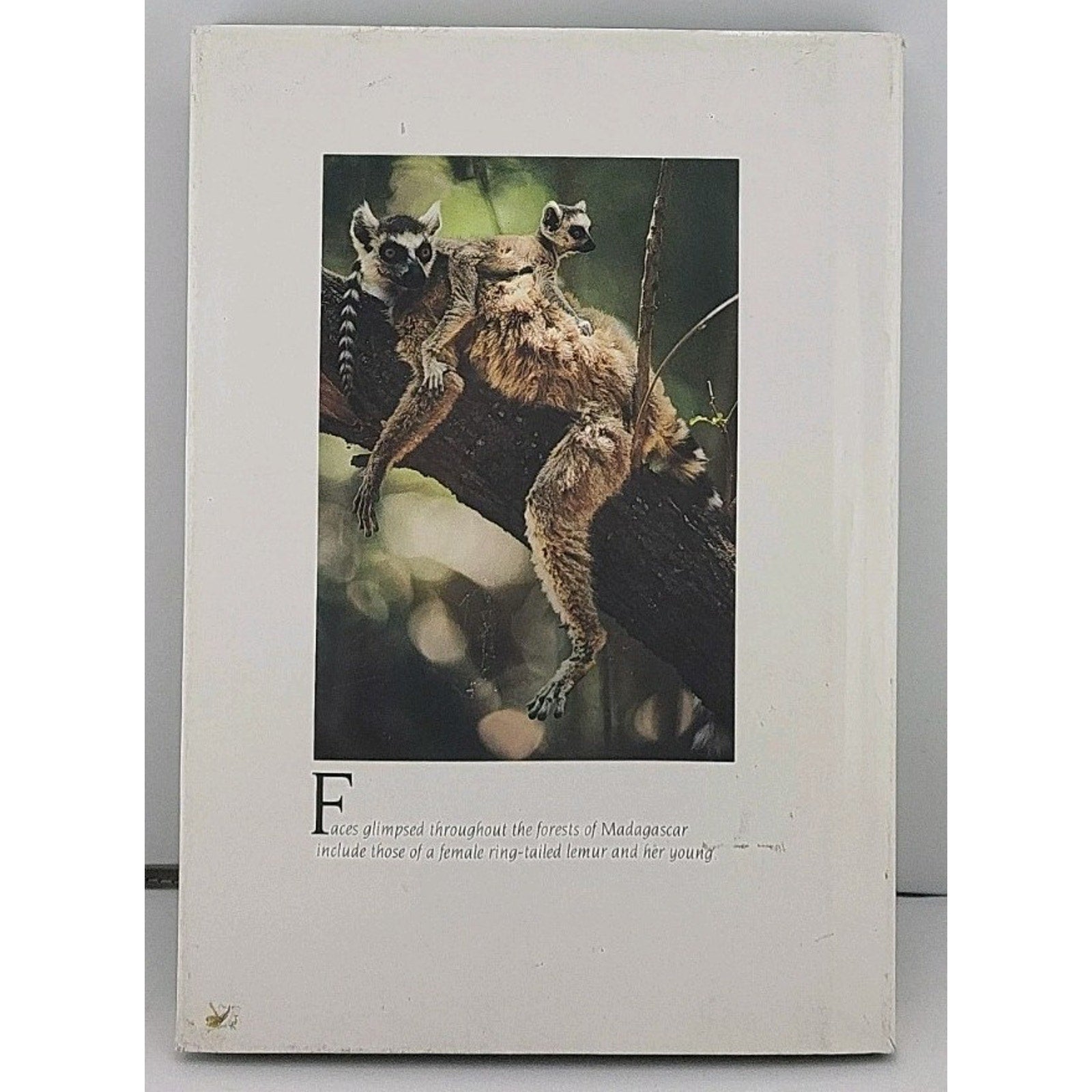 Forgotten Edens: Exploring The World's Wild Places By Frans Lanting & Christine