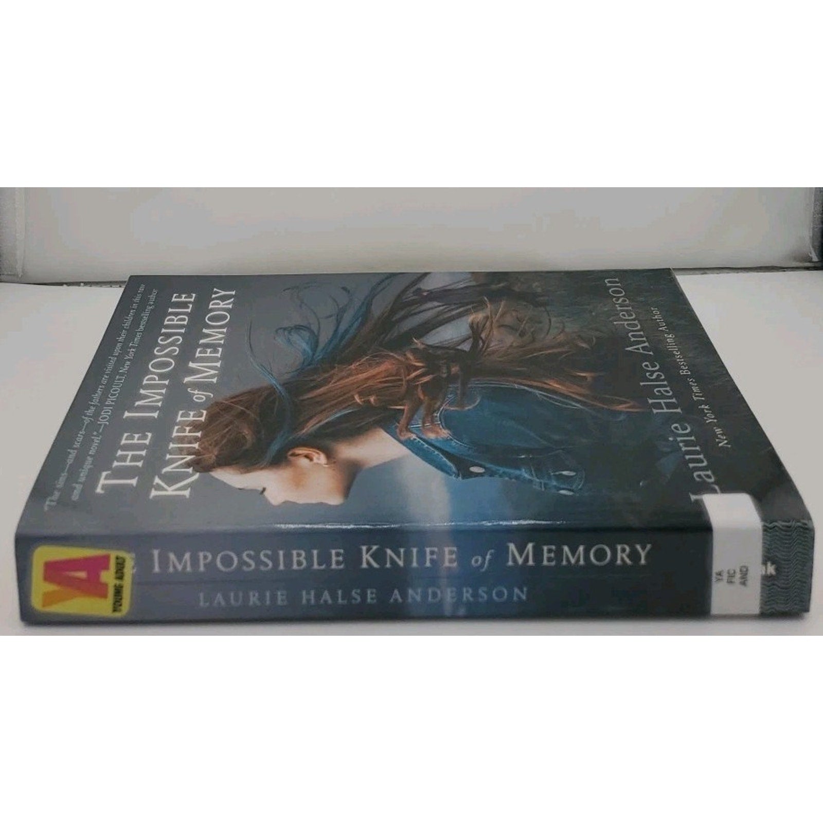 Impossible Knife of Memory by Laurie Halse Anderson (2015, Trade Paperback)