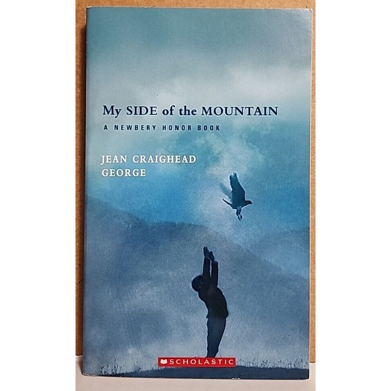 My Side of the Mountain by Jean Craighead George (2000, Book, Other)