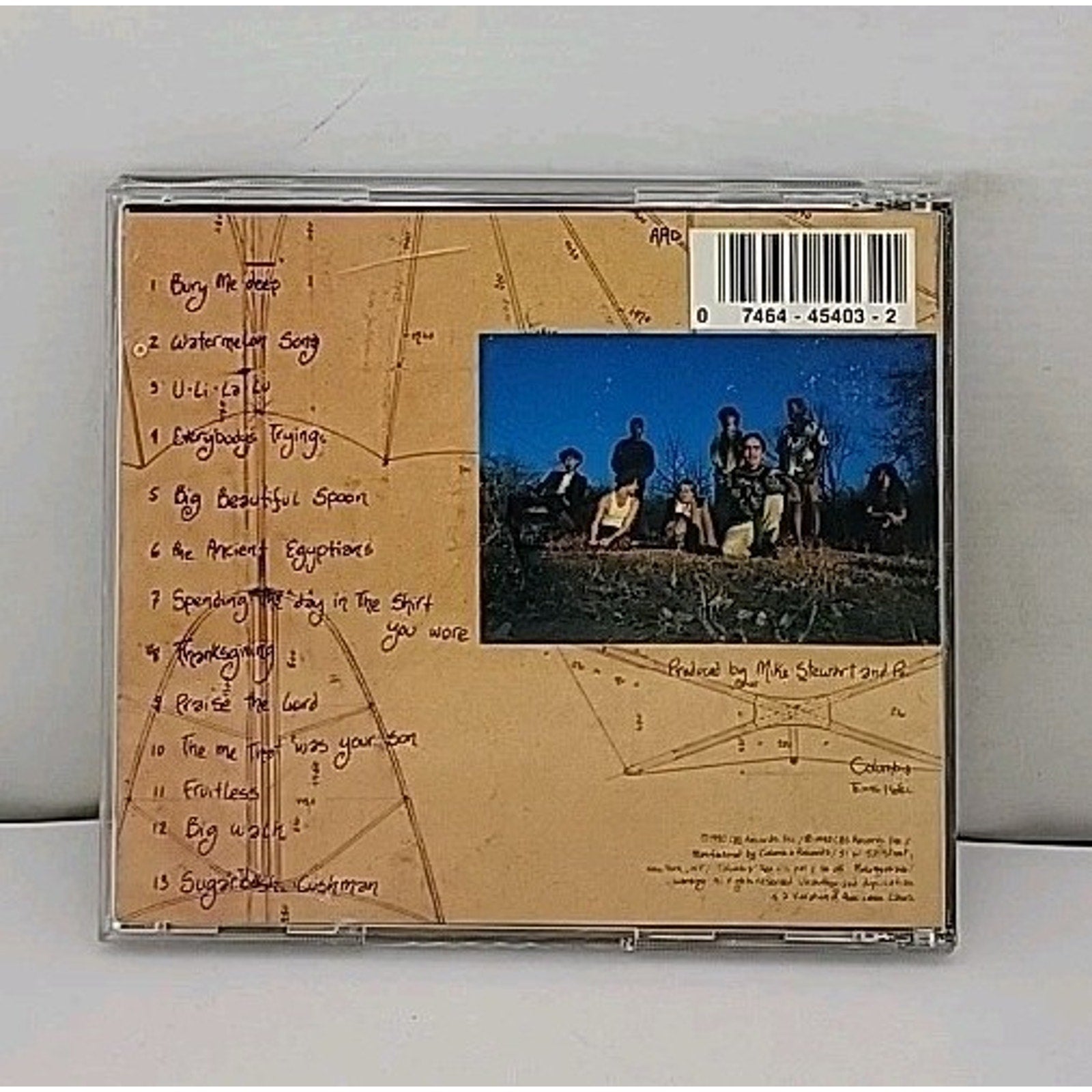 Wishing like a Mountain & Thin by Poi Dog Pondering (CD, 1990)