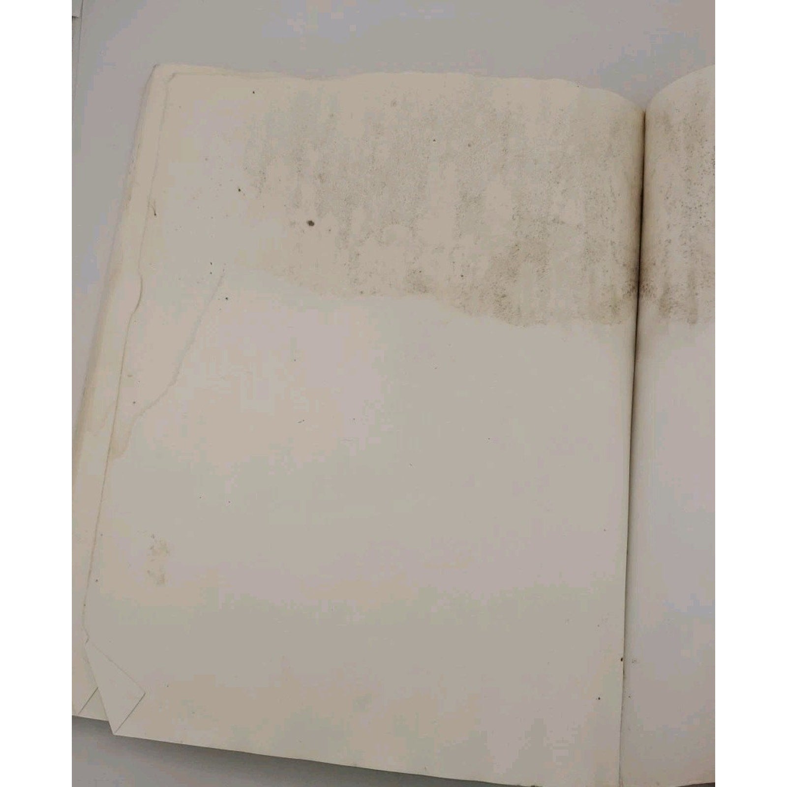 Book of Shadows : The Unofficial Charmed Companion by Ngaire E. Genge (2000,...