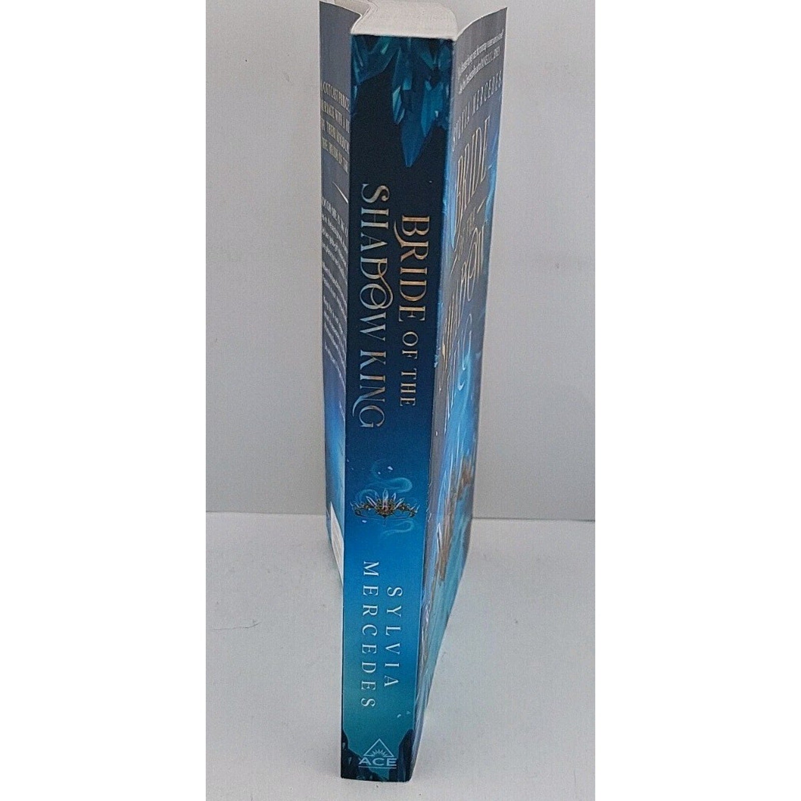Bride of the Shadow King by Sylvia Mercedes (2024, Trade Paperback)