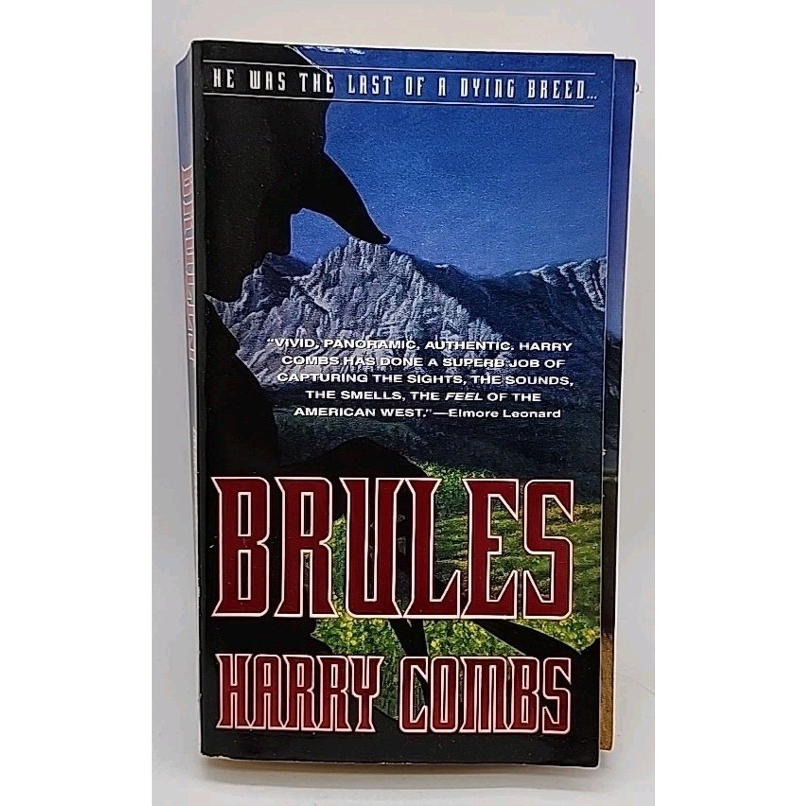Brules : A Novel by Harry Combs (1995, Mass Market)