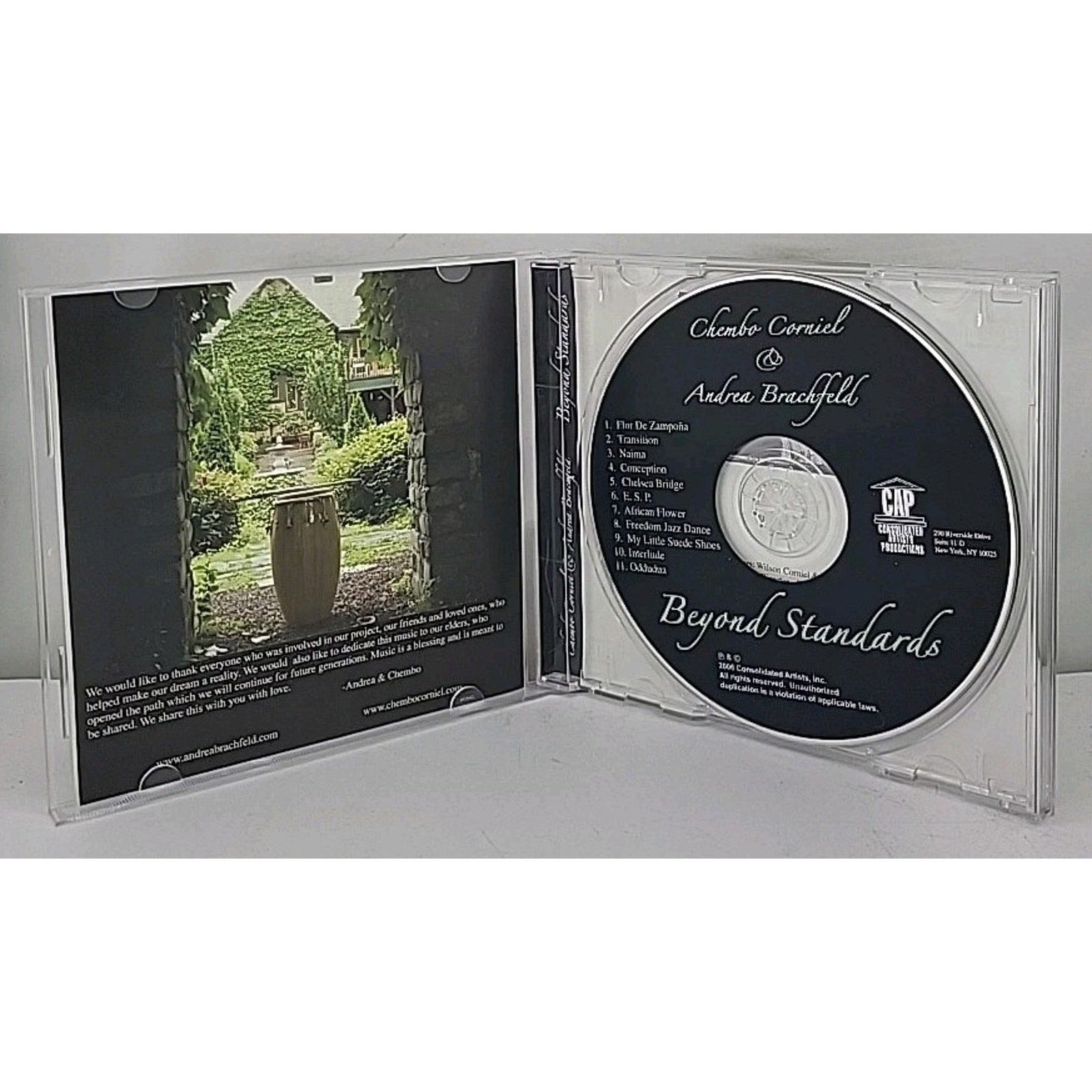 Beyond Standards by Andrea Brachfeld (CD, 2006)