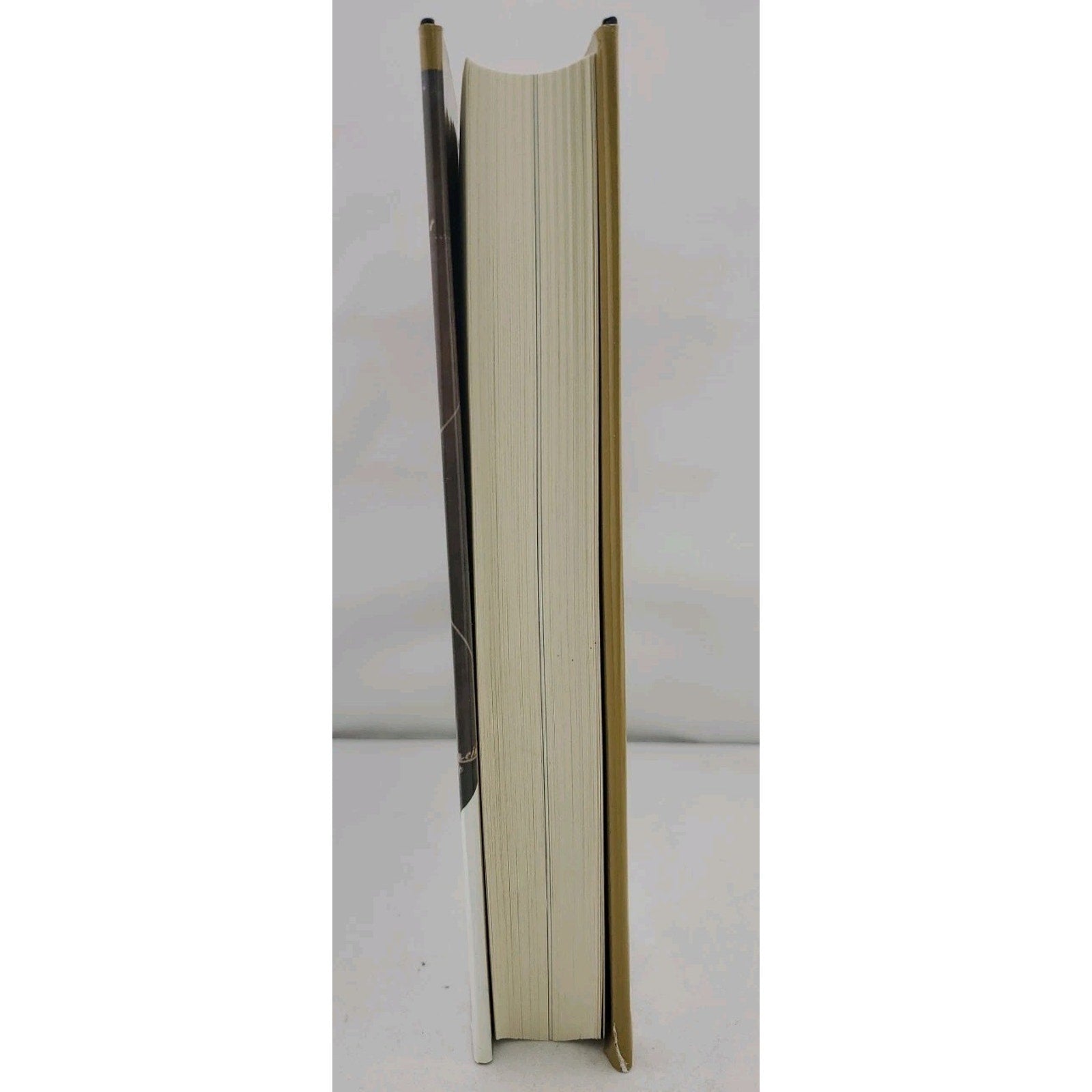 The Scientific American Book of the Cosmos Hardcover David Lévy