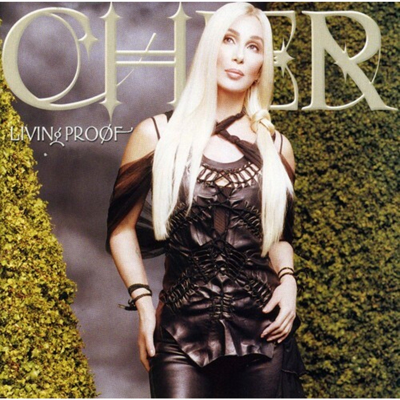 Living Proof by Cher (CD, 2002)