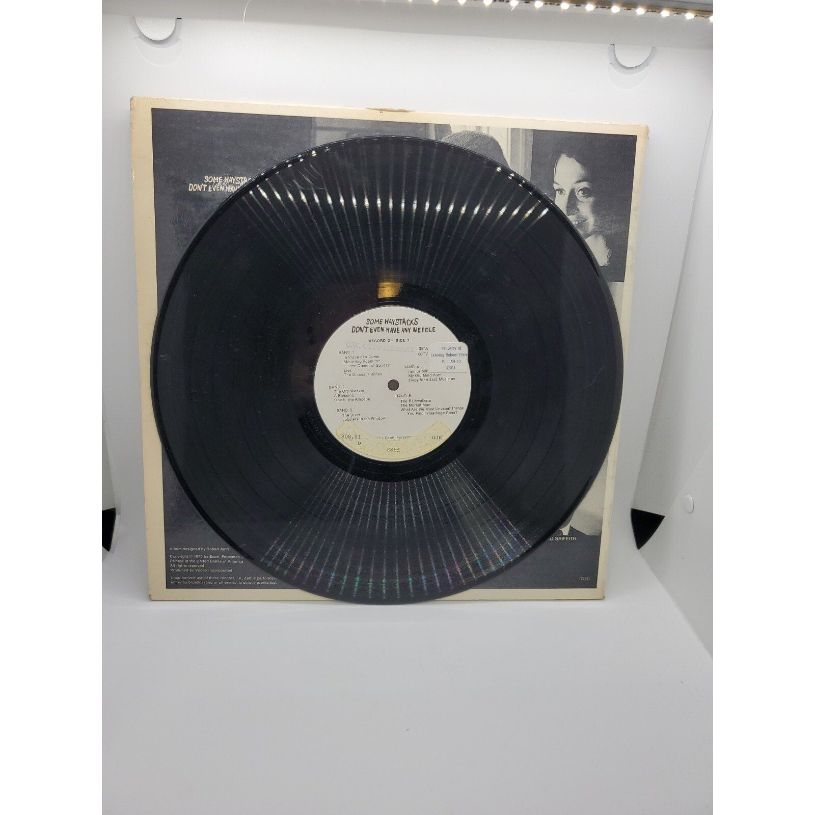 Some Haystacks Don't Even Have Any Needle (Record)