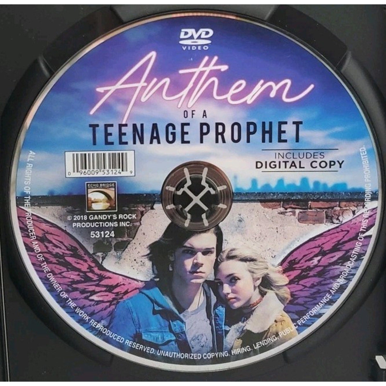 Anthem of a Teenage Prophet (DVD, 2018) *DISC ONLY*