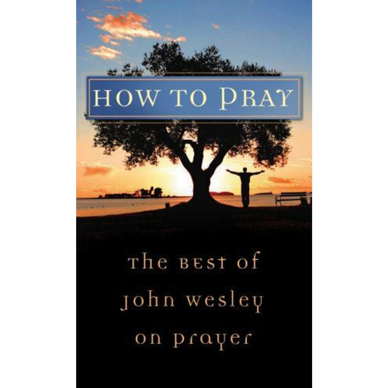 Value Bks.: How to Pray : The Best of John Wesley on Prayer by John Wesley...