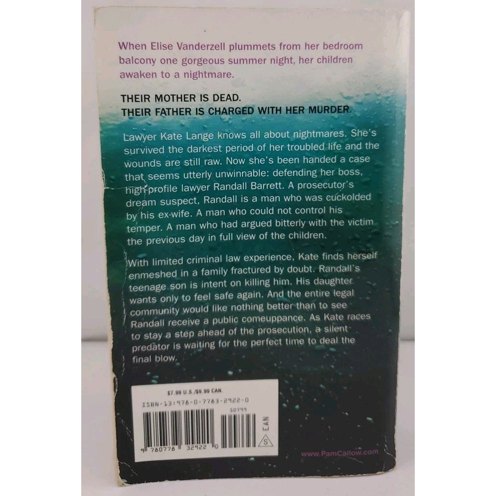 Indefensible by Pamela Callow (2010, Mass Market)