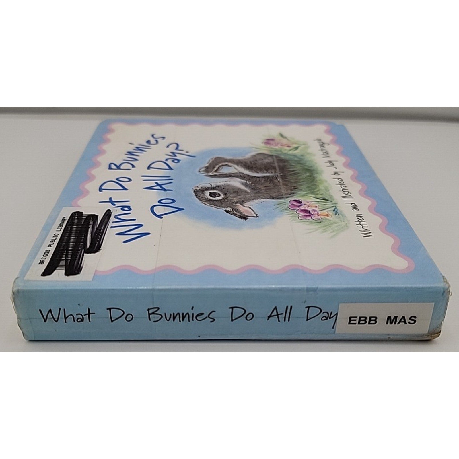 What Do Bunnies Do All Day by Judy Mastrangelo (2005, Children's Board Books)