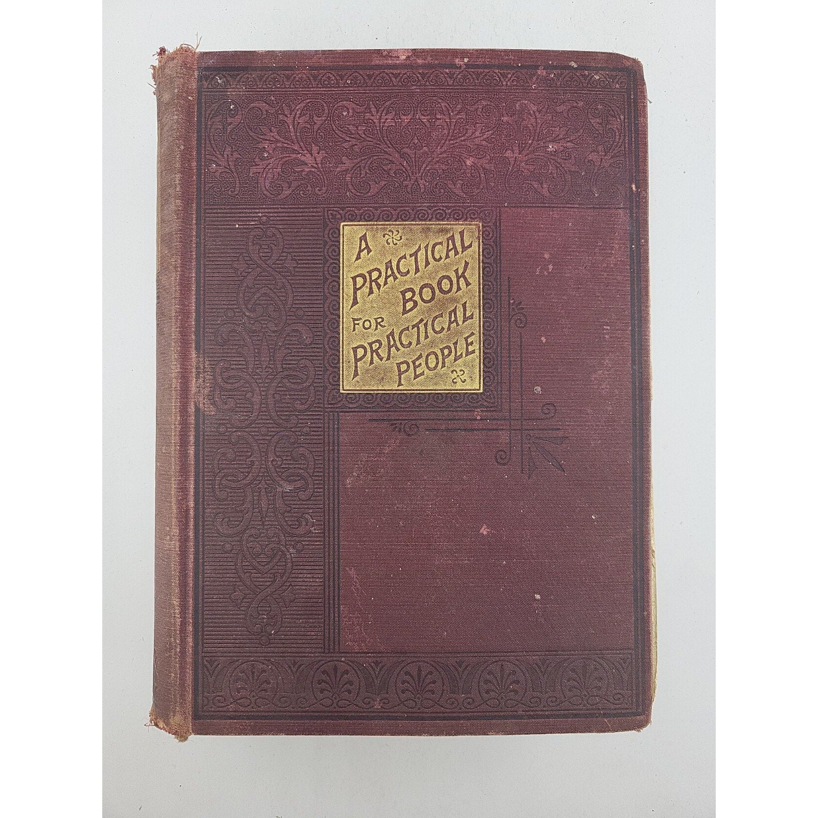 A Practical Book For Practical People 1895 Book