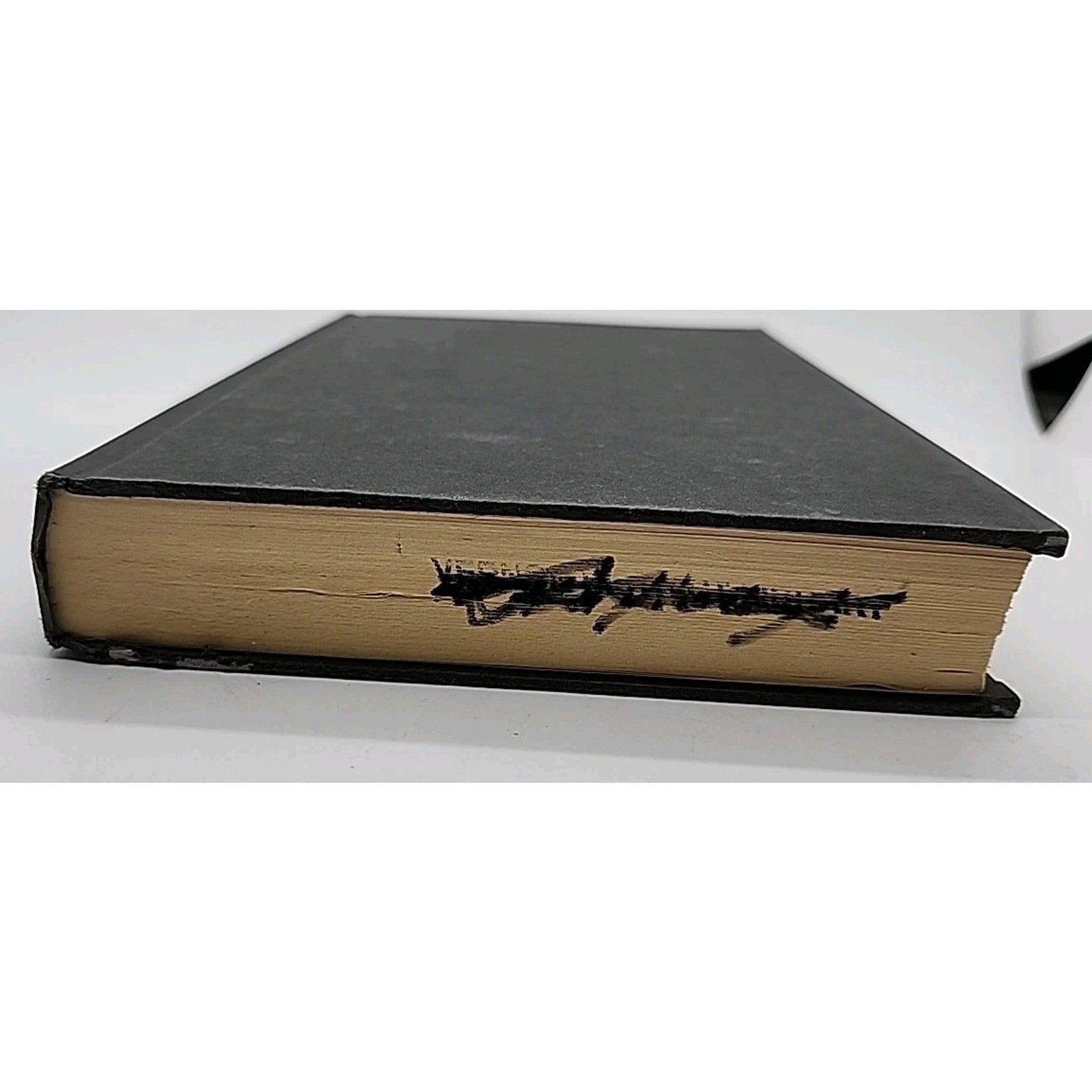 Last Witness by Jilliane Hoffman (2005, Hardcover)