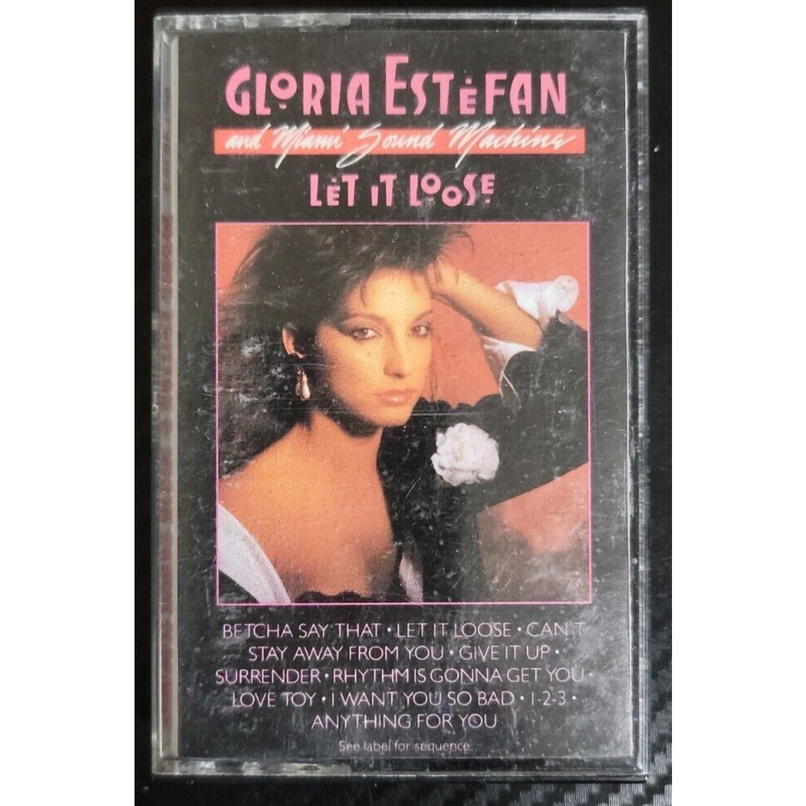 Gloria Estefan "Let It Loose" (Cassette Tape)