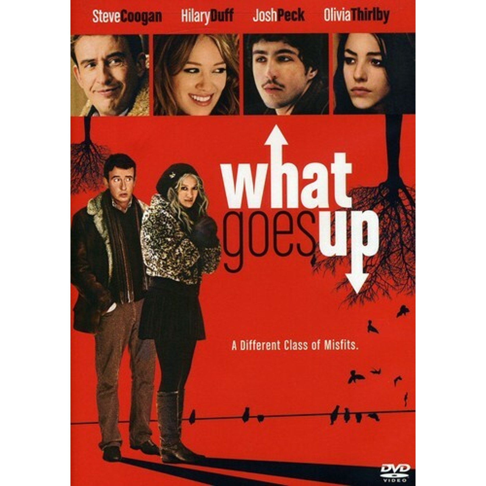 What Goes Up (DVD, 2009)