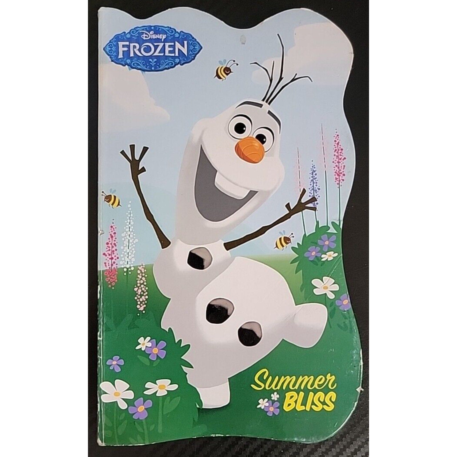 Disney Frozen Hardcover Book " Summer Bliss"