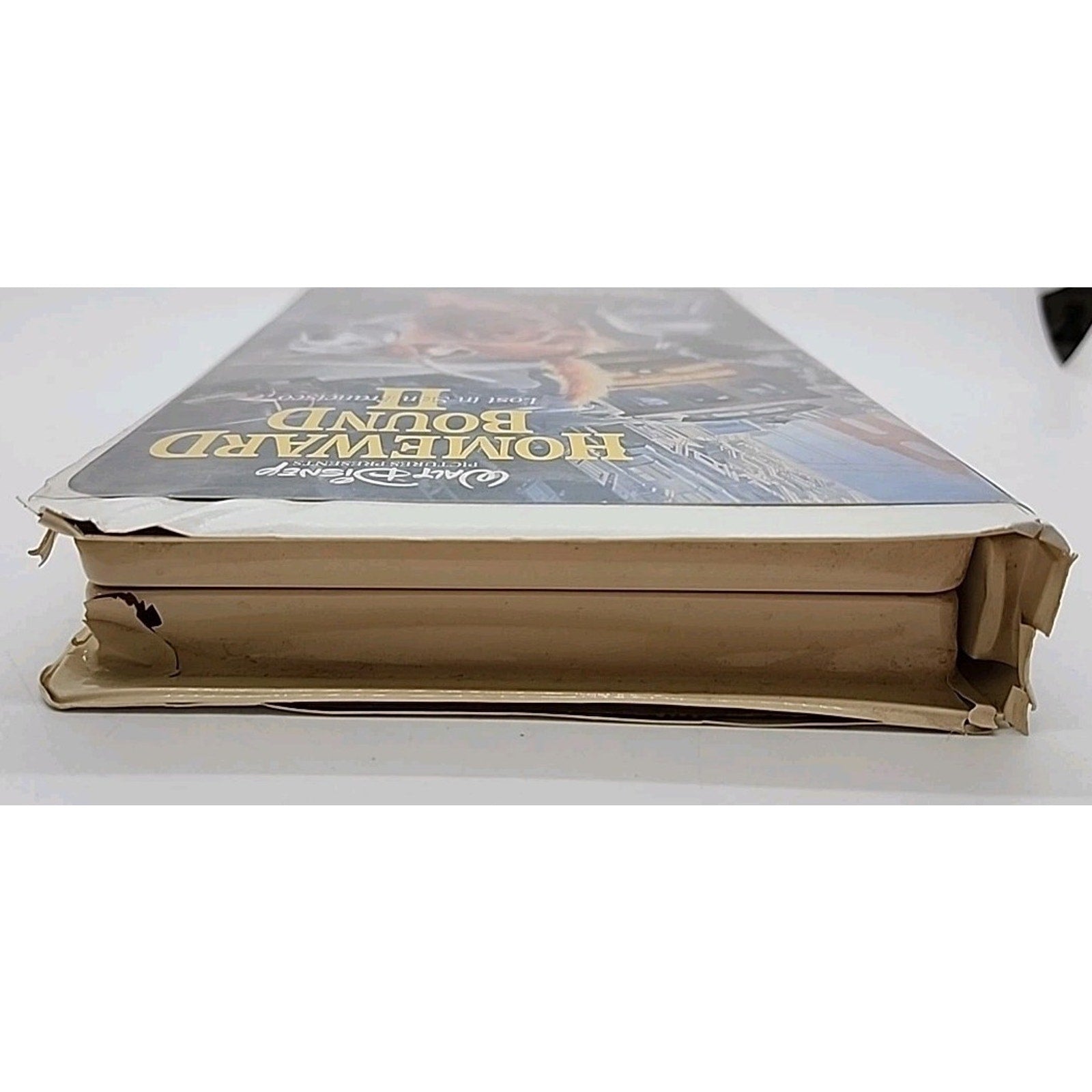 Homeward Bound 2 - Lost in San Francisco (VHS, 1996)