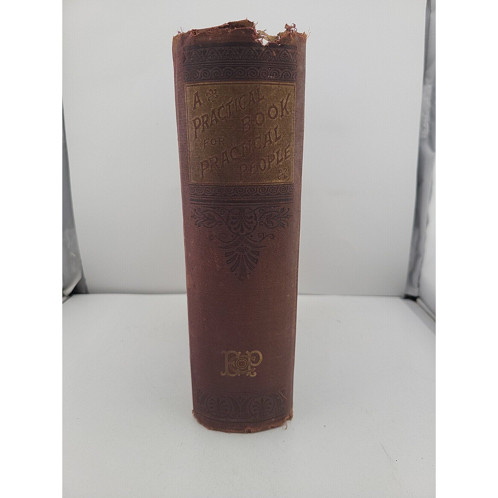 A Practical Book For Practical People 1895 Book