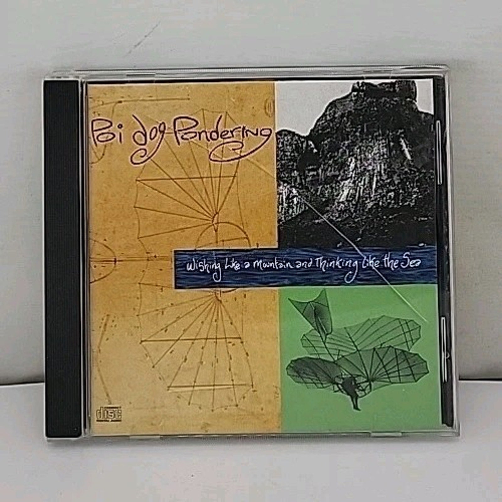 Wishing like a Mountain & Thin by Poi Dog Pondering (CD, 1990)
