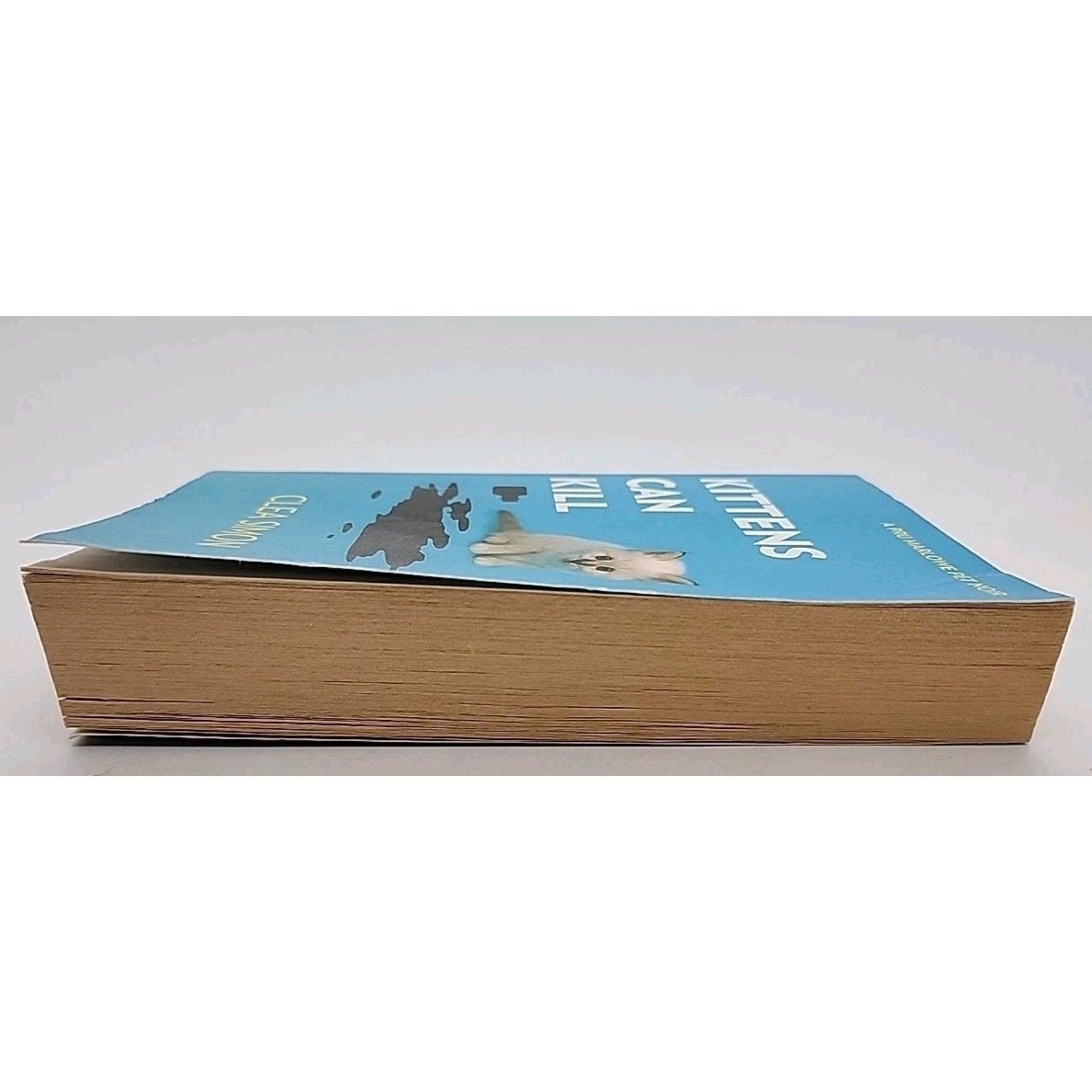 Kittens Can Kill (Paperback)