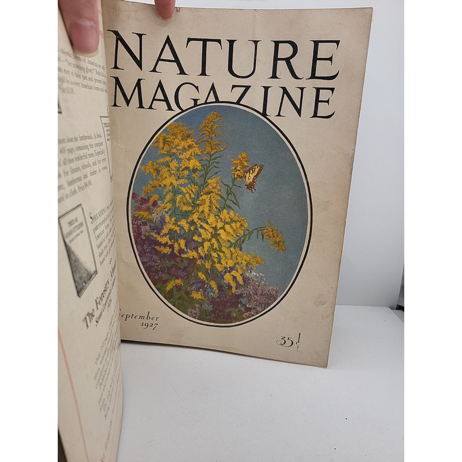 1927 Nature Magazine-12 Months In Embossed Green Leather Album Texas Issue.