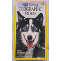 National Geographic Video - Those Wonderful Dogs (VHS, 1995)