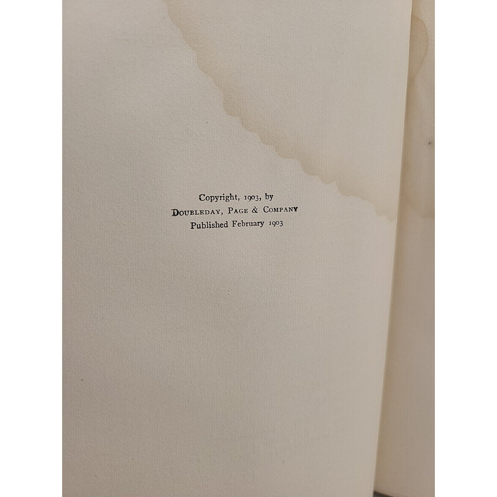 Principles Of Home Decoration By Candace Wheeler 1903 HC (S1)